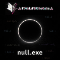 null.exe - 04 Tail Flags