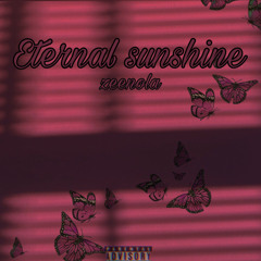 Eternal Sunshine Zeemix