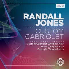 SB231 | Randall Jones 'Custom Cabriolet'