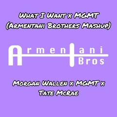 What I Want x MGMT (Armentani Brothers Mashup) - Morgan Wallen x MGMT x Tate McRae