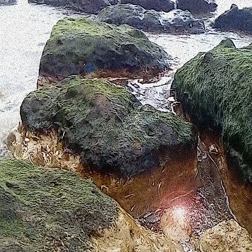 Watching the Water Flow
