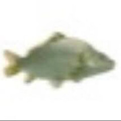 Nxde by GIDLE but its the best part