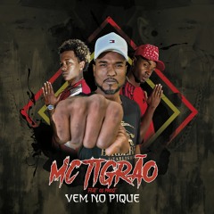 MC TIGRÃO - VEM NO PIQUE ( BK PRODUÇÕES )