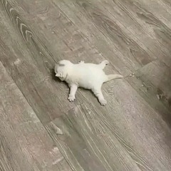 i wanna suck