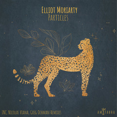 PREMIERE: Elliot Moriarty - Particles (Nicolas Viana Remix) [AMITABHA]