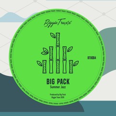 BTX004 Big Pack - Summer Jazz [Biggie Traxx]