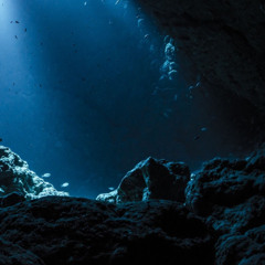 Sub Lvlllllll [700 Freebie] Direct DL