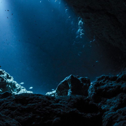 Sub Lvlllllll [700 Freebie] Direct DL