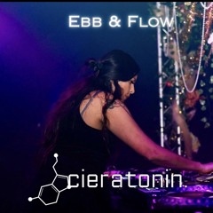 Guest Mixes
