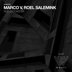 Echoes (Roel Salemink Remix)