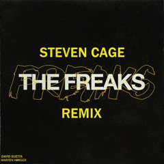 David Guetta X Marten Hørger - The Freaks (Steven Cage Remix)