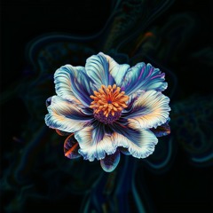 Full Bloom '24 | Minimal Hypnotic/Psychedelic Techno Liveset