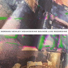 Meandering Sounds w/ Norman Hemley