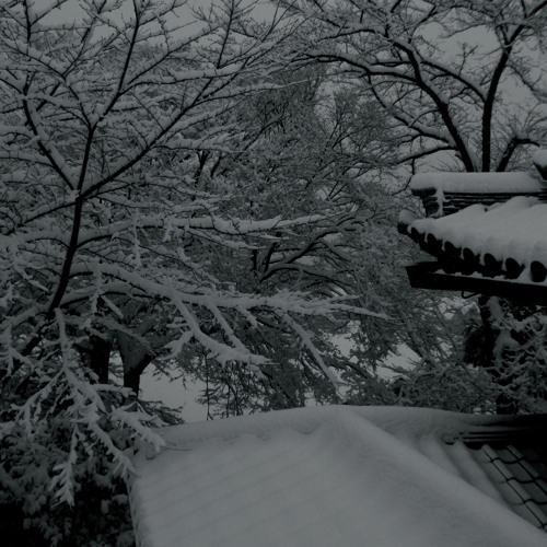 Monochromer Garten for Cello and Accordion / チェロとアコーディオンのための「モノクロマーガーテン 」