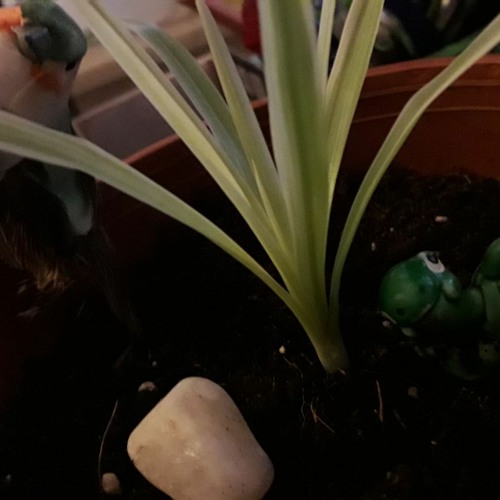 Bis Die Aktie Kickt (beat von birdy sanjazz)