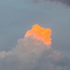 Rid G shoove || live set