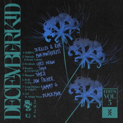 Stateside (Decemberkid & Kenny Gabriel Edit)