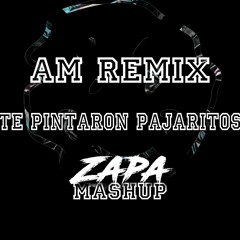 AM Remix X Te Pintaron Pajaritos (ZAPA Mashup)