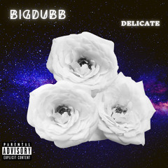BIgDubb - Delicate (Official audio) Prod. q4.gotthat