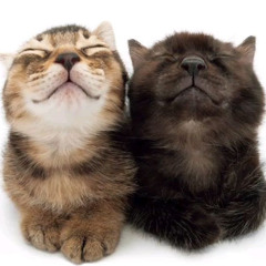 camisa de anime [SPOTIFY IN DESC.]