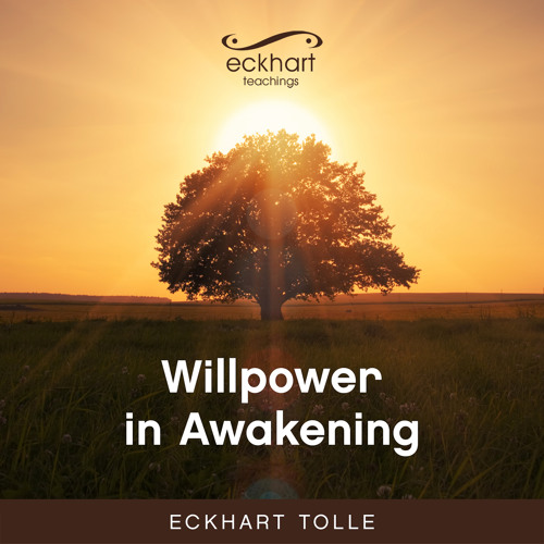 Finding Relaxed Alertness
