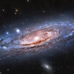 WE ARE THE ESSENCE TO DIVINE