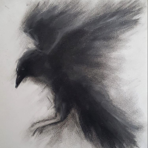 reik - up my slime p.licutta