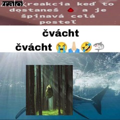 ##ZRALOK 🦈 🦈 🦈 w/ thrwn, c4ti, d8v (prod. kiiisho + thrwn)