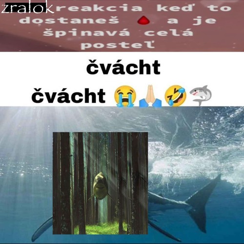 ##ZRALOK 🦈 🦈 🦈 w/ thrwn, c4ti, d8v (prod. kiiisho + thrwn)
