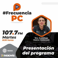 Frecuencia PC