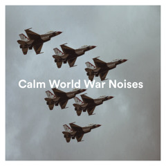 Soft Warcrime Flashbacks: Relaxing Dying Human Noises, Pt. 01