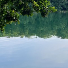 Cave carli radio FR - March 2025