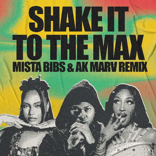 MOLIY, Skillibeng, Shenseea - SHAKE IT TO THE MAX (Mista Bibs & Ak Marv Remix)