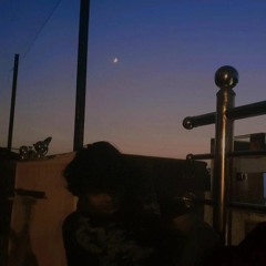 Sunsettia
