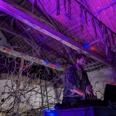 Live @ Party in the Berry