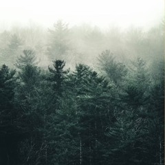 Sound of wind