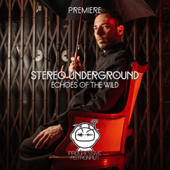 PREMIERE: Stereo Underground - Echoes Of The Wild [Last Night On Earth]