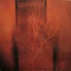 LIKE ONE(prod. FRBeatz)