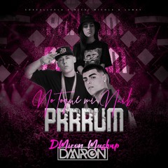 Nicki Nicole, Lunay x Cosculluela - No Toque Mi Naik x Prrrum (DMiron Mashup)  (Copyright Filter)