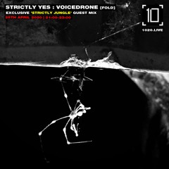 STRICTLY YES : VOICEDRONE [Exclusive 'Strictly Jungle' mix] [APR '20]