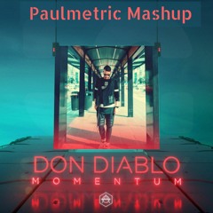 Don Diablo Vs Maroon 5 - Girls Like Momentum (Paulmetirc Mashup) FREE DOWNLOAD