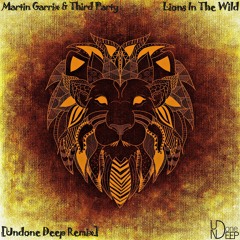 Martin Garrix & Third Party - Lions In The Wild [Undone Deep Remix]