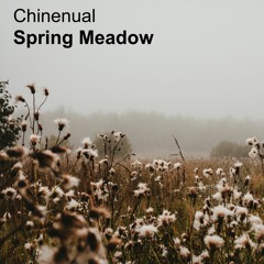 Spring Meadow [naviarhaiku495]