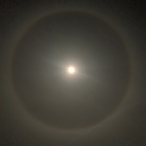 Live @ Moontribe March 2023