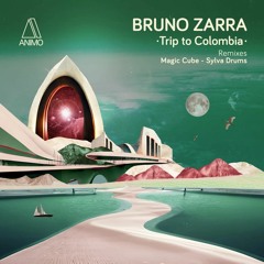 DHS Premiere: Bruno Zarra - Trip To Colombia (ANIMO)