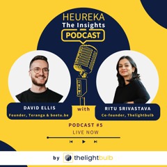 Ep #5: David Ellis with Ritu Srivastava (Heureka: The Insights Podcast by Thelightbulb)