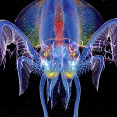 Parchito @ MACHETE v2 Puticlú