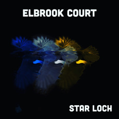 Star Crow