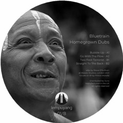 Bluetrain - Homegrown Dubs promo