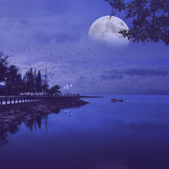 Gazing At The Moon